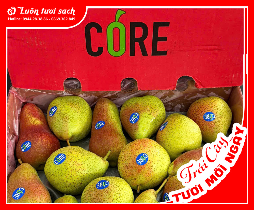 Nguyên thùng Lê Nam Phi 12kg